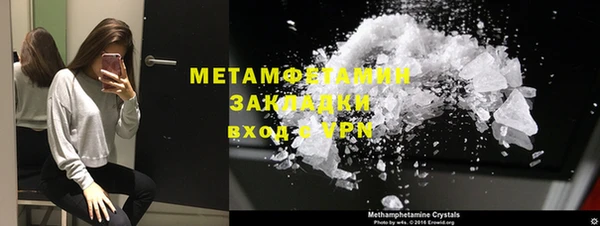 прущие грибы Бежецк