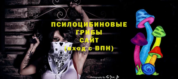 mix Медногорск